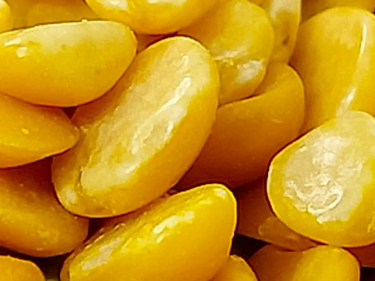 Pigeon Peas (Arhar dal)