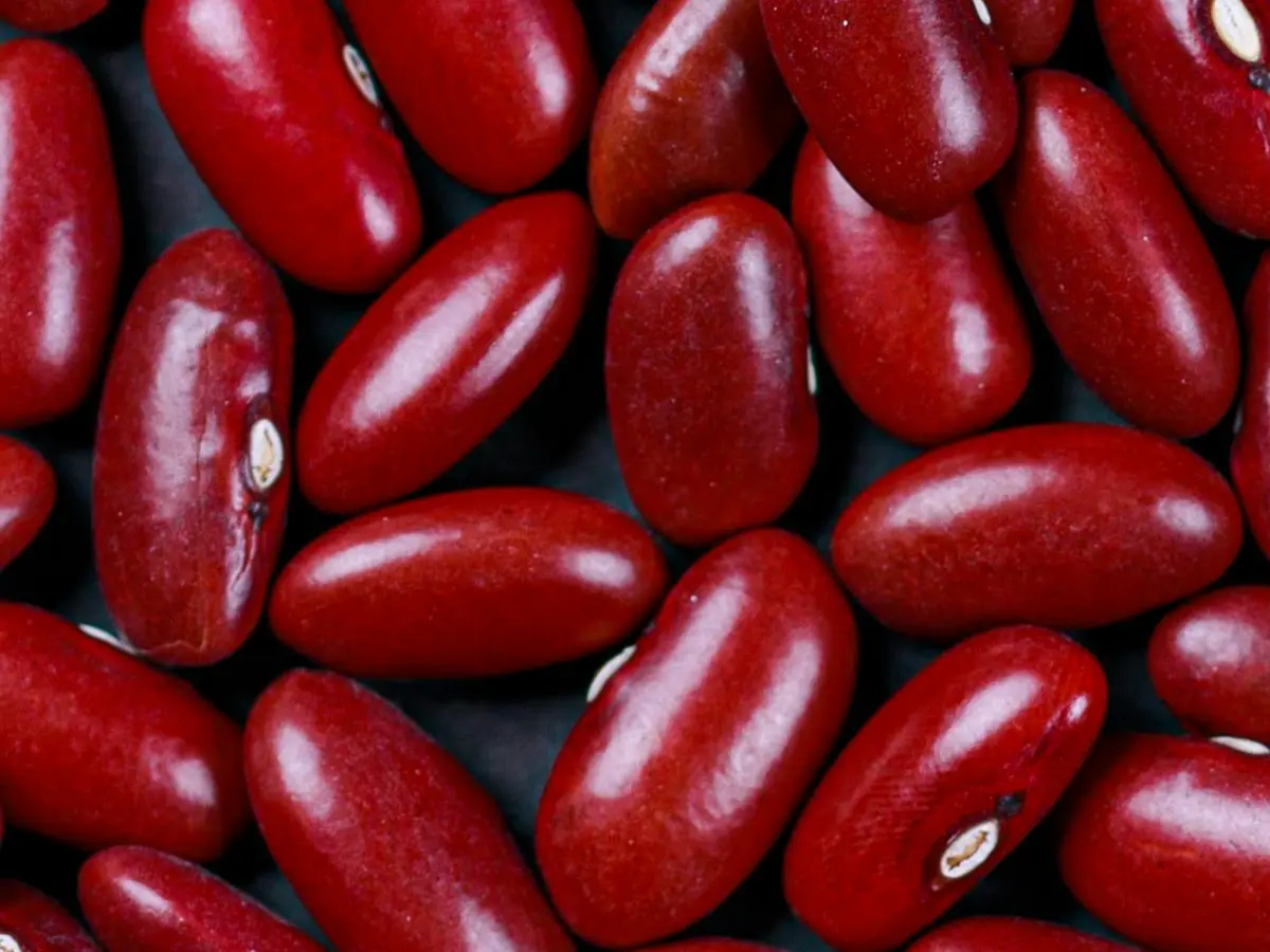 Kidney Beans (Rajma)